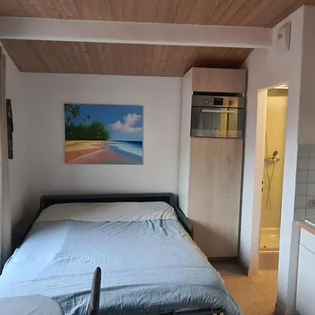 Apartamento Rue Du Vieux Chateau - Beau F2